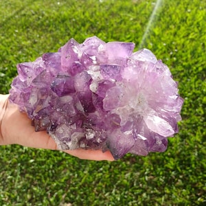 以下が含まれることがあります： アメジストの大きな結晶の塊で、薄いラベンダー色から濃い紫まで、さまざまな紫色の色合いを示しています。結晶は鋭く尖った先端を持ち、自然で生のままの外観をしています。この塊は、緑の草を背景にしています。