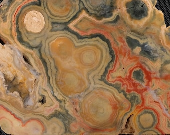 Puede incluir: Primer plano de una losa de ágata colorida con un patrón de remolino de rojo, naranja, amarillo, verde y negro. La losa tiene aproximadamente 15 cm de ancho y está sobre una superficie negra. El texto "Back Taken Wet" es visible en la esquina superior derecha de la imagen.