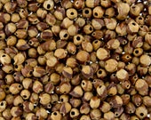 25 Grams - Navajo Ghost Spirit Beads Cedar Juniper Berries Seeds with Holes (approx 250-300 beads) SMALL Size