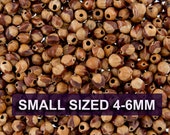5 Grams - Navajo Ghost Spirit Beads Cedar Juniper Berries Seeds with Holes (approx 50-60 beads) SMALL Size