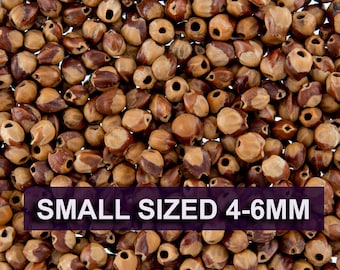 5 Grams - Navajo Ghost Spirit Beads Cedar Juniper Berries Seeds with Holes (approx 50-60 beads) SMALL Size