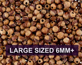 100 Grams - Navajo Ghost Spirit Beads Cedar Juniper Berries Seeds with Holes (approx 560-640 beads) LARGE Size