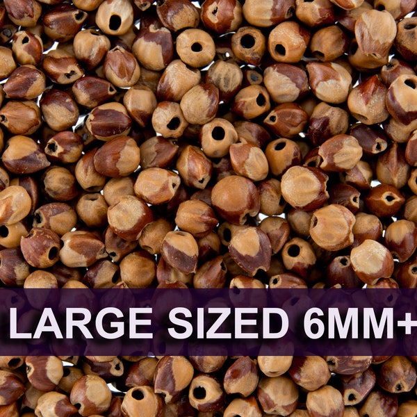 50 grammes - Perles Navajo Ghost Spirit, graines de cèdre et de baies de genièvre trouées (environ 280-320 perles) grande taille