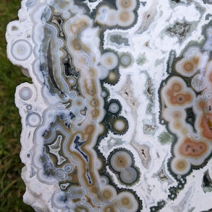 RARE NEW Vein 8 - Large Extra Grade A Gemmy - Natural Ocean Jasper Slab - Polished and Ready to Display! AMAZING!