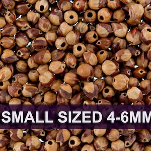 100 Grams - Navajo Ghost Spirit Beads Cedar Juniper Berries Seeds with Holes (approx 1000-1200 beads) SMALL Size