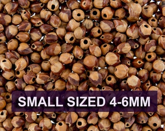 100 Grams - Navajo Ghost Spirit Beads Cedar Juniper Berries Seeds with Holes (approx 1000-1200 beads) SMALL Size