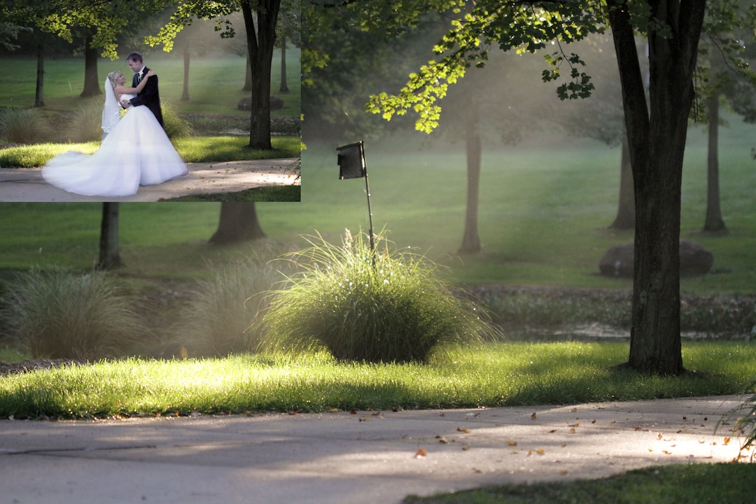 Park Digital Background Wedding Background Summer Digital Background