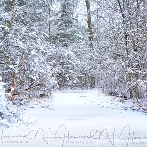 Christmas Backgrounds Winter Backgrounds Digital background Snowy Background Path Background Kids background Photoshop wedding backdrops