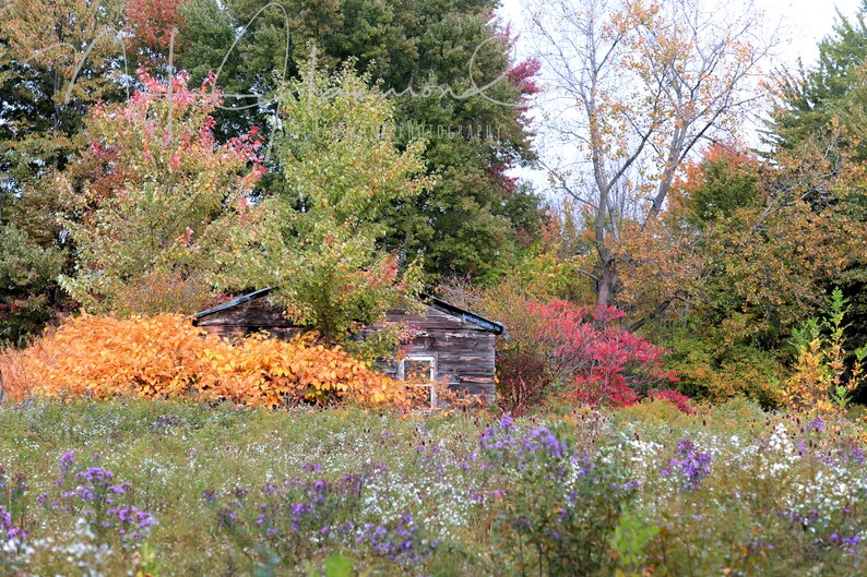 Digital Print Fine Art Print Set of 3 Landscape Wall Art Fall Etsy