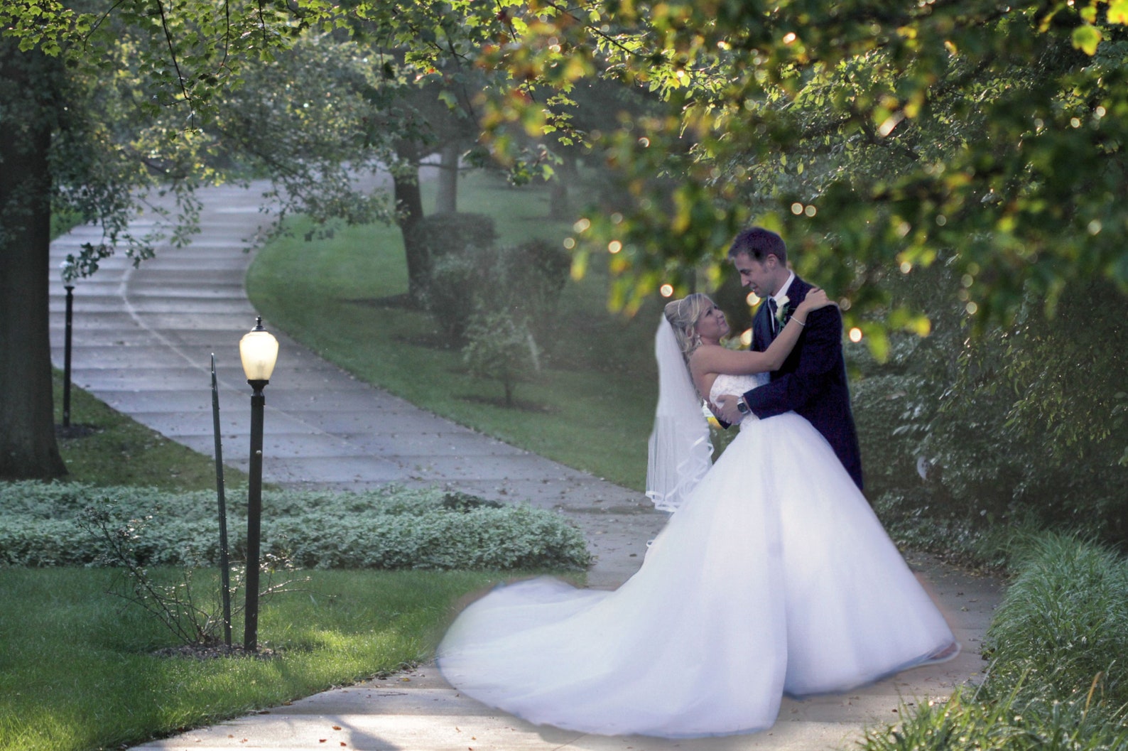 Park Digital Background Wedding Background Summer Path Background Tree