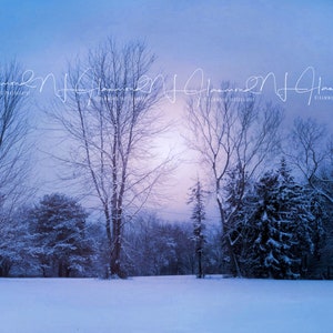 Winter digital background digital backdrop snow background  photoshop fairytail Background Frozen princess wedding backgrounds Christmas bac
