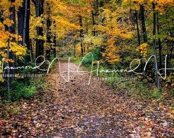 Fall digital background fall digital backdrop path background woods background photoshop background digital downloads fall digital download