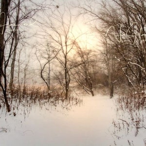 Winter Digital background with path Christmas backdrop Christmas background winter backdrops snowy backdrop snow path background photoshop b