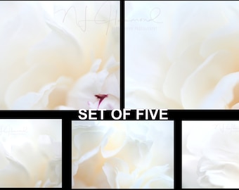 Peony Wall Prints Abstract Downloadable Prints Set of Five Mininalist Flower Prints Office Wall Art Office Prints Living Room Wall Art