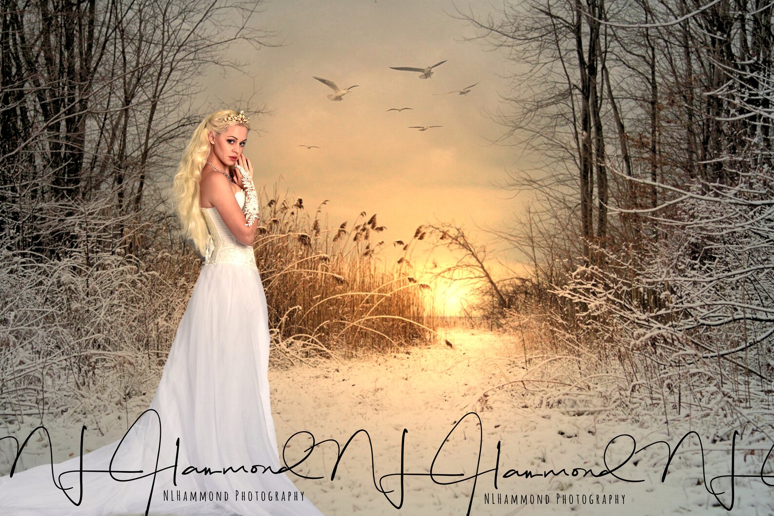 Winter Digital Backdrop Winter Wedding Background Christmas Background