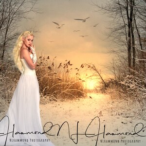 Winter Digital backdrop Winter Wedding background Christmas background snowy backdrop path background photoshop background kids photoshop ba