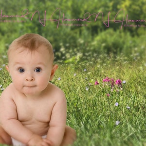 Baby background Flower background field background garden background digital baby background digital meadow background baby backdrop summer image 1