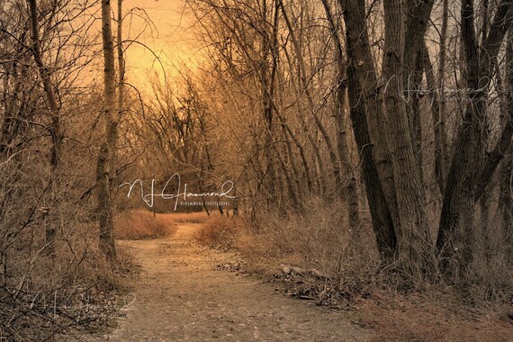 fall digital backdrop path digital background wedding etsy background wedding photoshop
