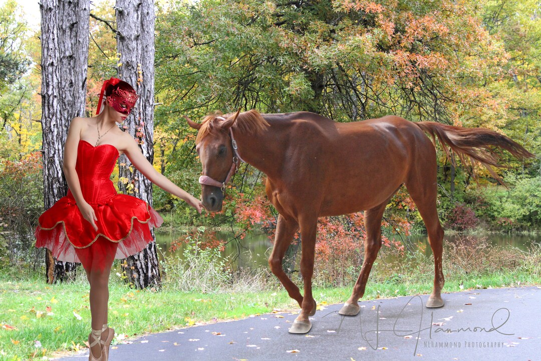 Fall Digital Backdrop Fall Digital Background Path Digital - Etsy