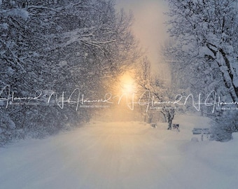 Winter background Christmas background winter digital backdrop winter backgrounds snow background road street backdrop winter wedding backgr