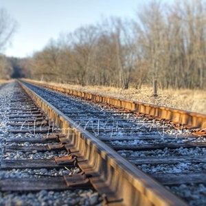 Puede incluir: Una vista hacia abajo de un conjunto de vías de tren oxidadas, con árboles que bordean los lados de las vías en la distancia.