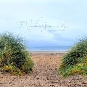 Beach digital background Wedding background Kids background Summer background Sand Prom background Photoshop Layers  quinceanera background
