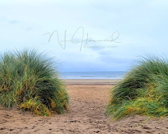 Beach digital background Wedding background Kids background Summer background Sand Prom background Photoshop Layers  quinceanera background