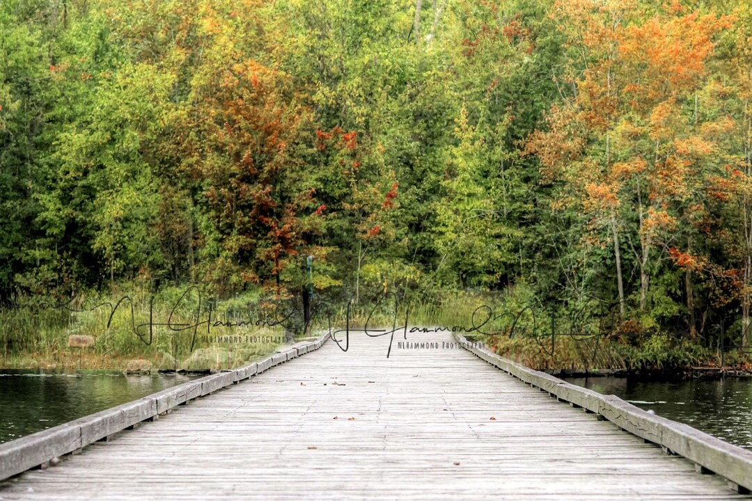 Fall Digital Background With Path Photoshop Backdrop Fall Digital ...