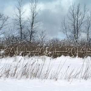 Winter digital print digital backdrop Christmas backdrop winter background winter backdrop snow digital background snow digital backdrop