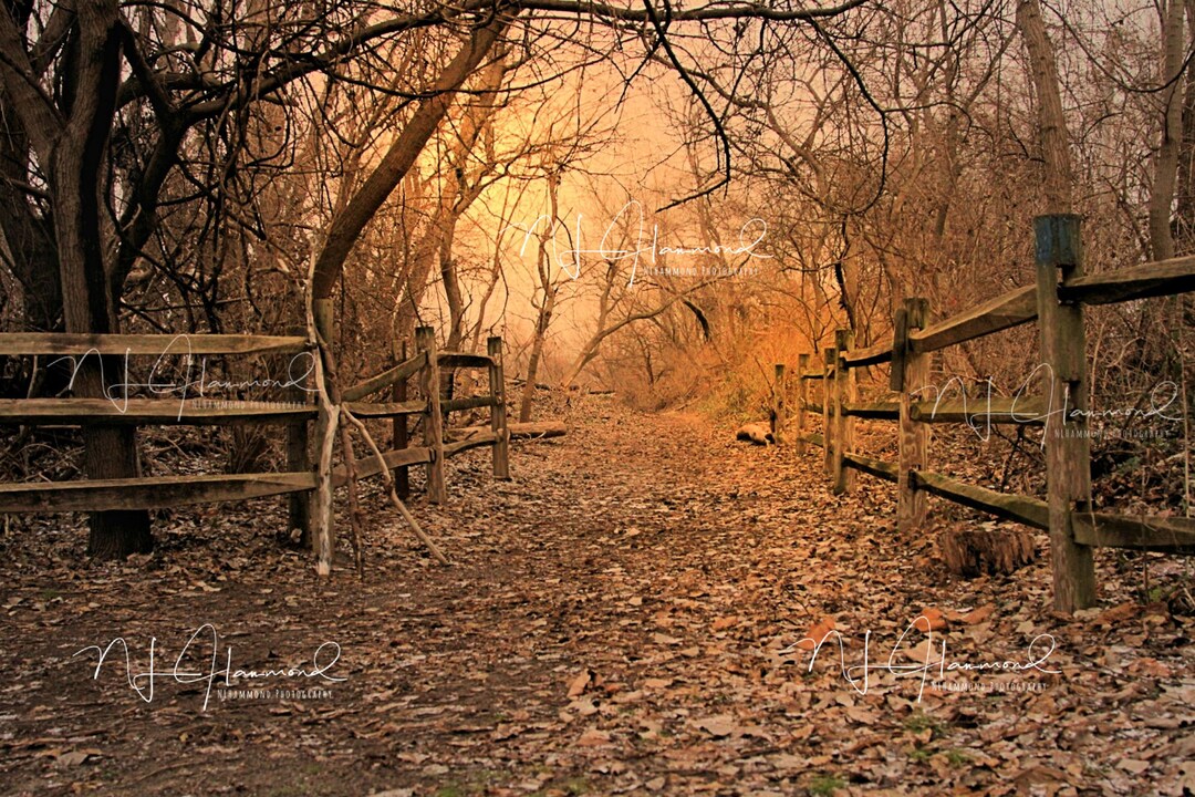 Fall Background Digital Path Background Halloween Background Fence