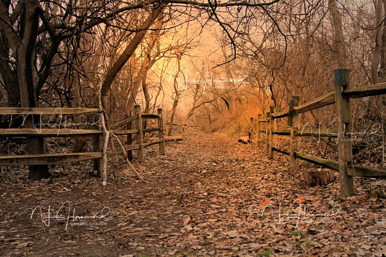 May include: A rustic wooden fence lines a path through a forest. The path is covered in fallen leaves and the trees are bare, creating a sense of autumn. The sun shines through the trees, casting a warm glow on the scene.