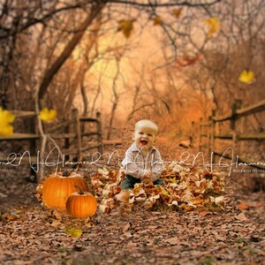 May include: A smiling baby boy sits in a pile of autumn leaves in a woodland setting. The baby is wearing a plaid shirt and is surrounded by pumpkins.