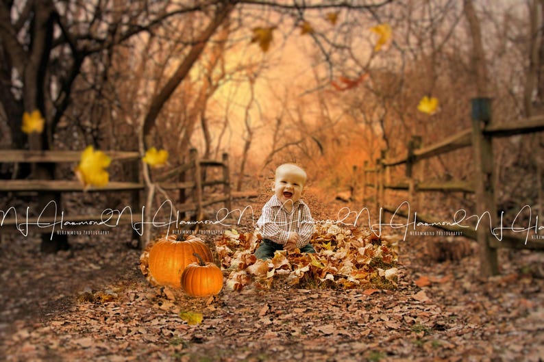 May include: A smiling baby boy sits in a pile of autumn leaves in a woodland setting. The baby is wearing a plaid shirt and is surrounded by pumpkins.