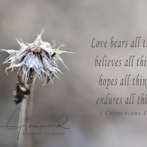 1 Corinthians 13 print Christian Prints Love Bears All Things Digital Print 1 Corinthians 13 Bible verse art 1 Corinthians 13:7 scripture