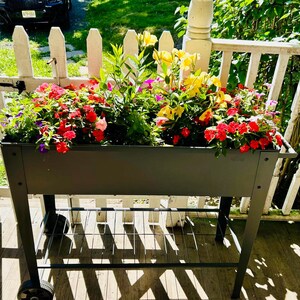 Metal Planter With Wheel & Shelf Storage And Handle