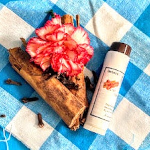 Cinnamon Stick Lip Balm: All Natural Lip Balm/Chapstick Enriched with Vitamin E, Cinnamon Flavor
