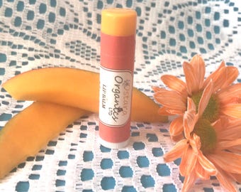 Mango Lip Balm, Mango Chapstick, Mango, Organic Lip Balm, Organic Chapstick, Natural Lip Balm, Natural Chapstick, Lip Protection, Gift