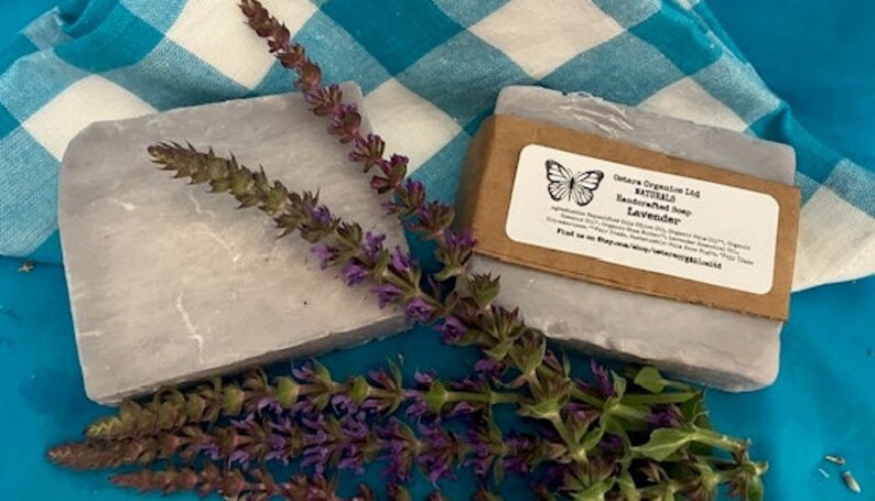 Lavender Essential Oil Soap Bars: Vegan Bulk Soap for Resale (10-pack ...