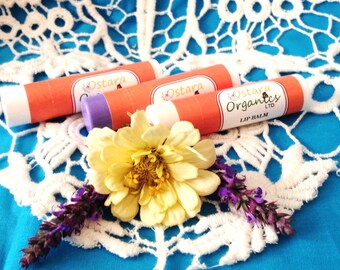 Happily Hippie Lip Balm Gift Set, Chapstick, Natural Flavor, Natural Lip Balm Set, Natural Chapstick Set, stocking stuffer, Lip Balm Set