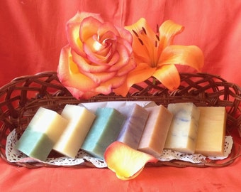 Wholesale Organic Soap Bars: Beauty Bar Starter Pack, Unlabeled, 10 Petite-sized bars
