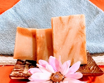 Mango Guava Wholesale Soap Bars: Unlabeled Bulk Soap - 10 Pack