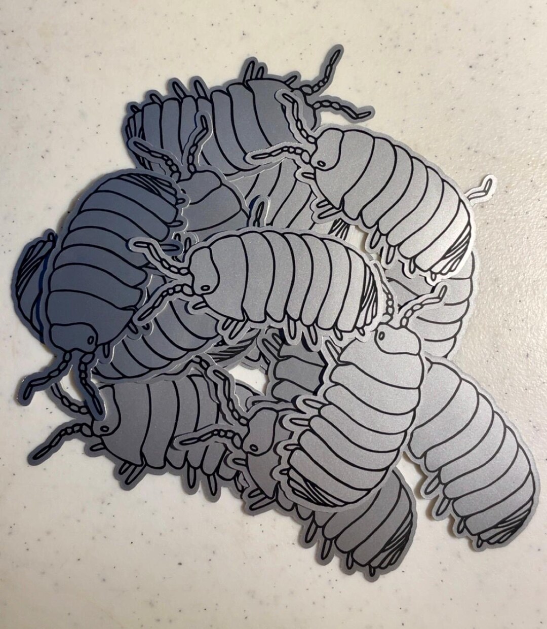 Rollie Pollie Bug - Etsy
