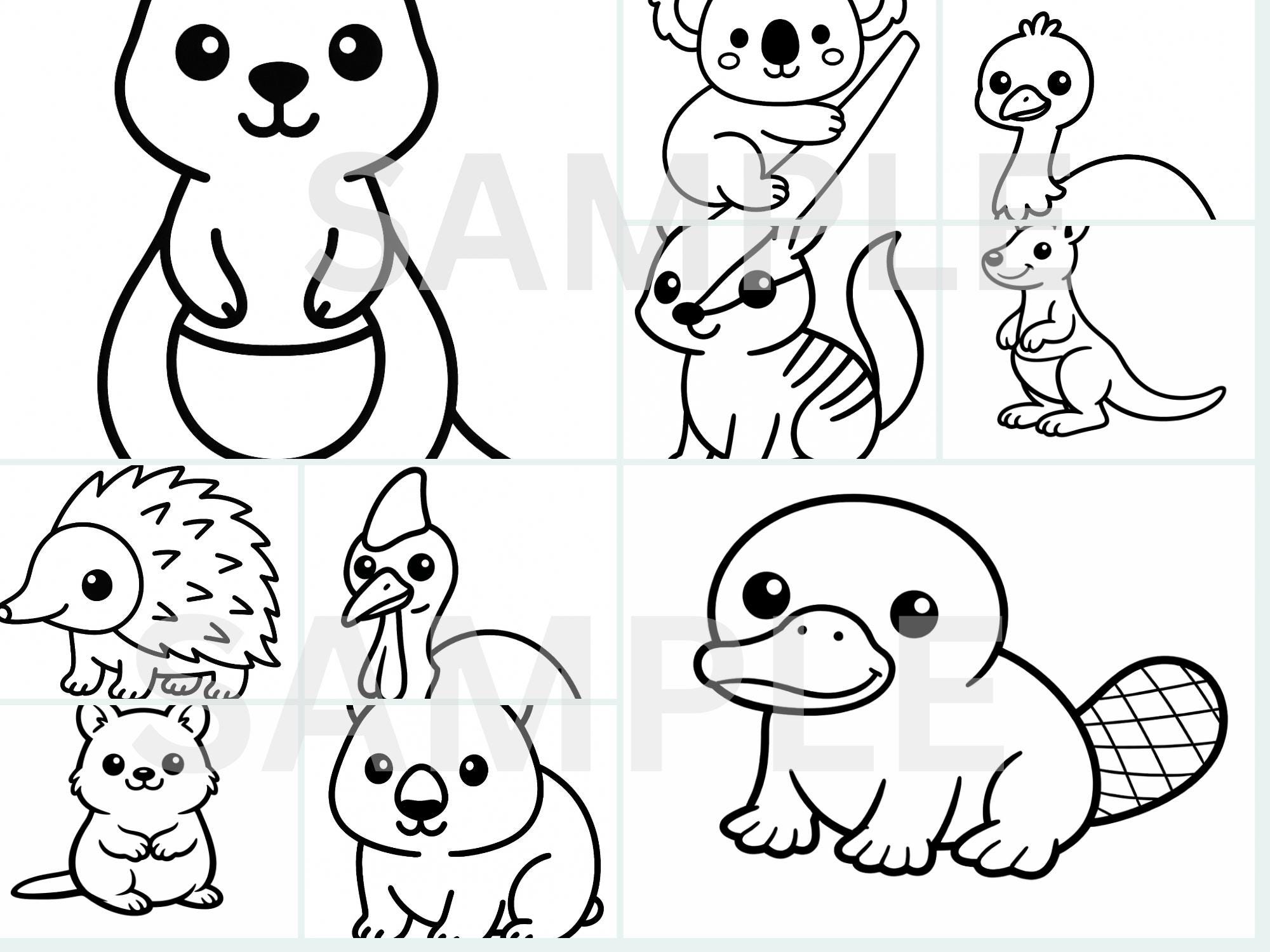 Australian Animal Coloring Pages for Kids | Printable PDF | Instant ...