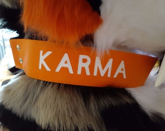 Kundengerechtes Fursuit-Kragen, wählen Sie Ihre Farbe und Größe, fügen Sie Namen hinzu.