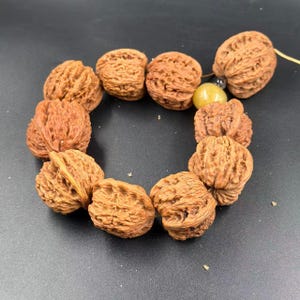 May include: A circular string of ten brown, textured walnut shells arranged in a loop. The shells feature deep, intricate ridges and natural patterns. A single, smooth, round, translucent yellow bead is positioned between two of the walnut shells.