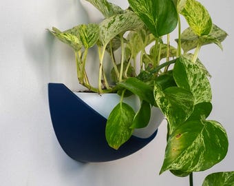 Half Dome Wall Planter-Modern Minimalist Design