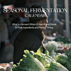 Könnte beinhalten: Ein Kochbuch mit dem Titel "SEASONAL FERMENTATION CALENDAR" mit dem Text "What to Ferment When: A Year-Round Guide to Peak Ingredients and Perfect Timing." Das Bild zeigt frische Produkte, darunter Blattgemüse und Wurzelgemüse.