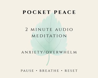 2 Minute Anxiety Meditation | Guided Stress Relief Audio | Mindfulness Reset MP3 WAV
