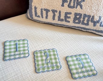 Embroidered Baby Milestone Cards, Gingham Monthly Photo Prop Set