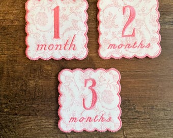 Baby Milestone Cards, Custom Milestone Cards, Embroidered Milestone Cards, Personalized Milestone Cards